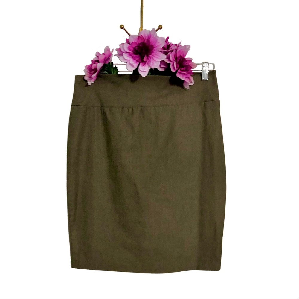 💵🎁 Rainbow Slip-On Pencil Skirt